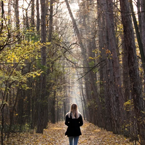 Young woman walking in the autumn forest peo